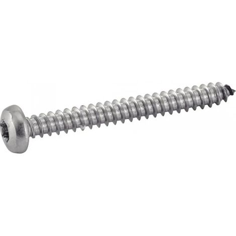 Tornillo Euromarine iso 14585 a4 Torx 4.8 mm 25 mm