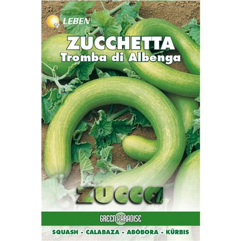 Graines de courgette Tromba d'Albenga Leben