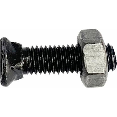 Bullone testa ovale M10x60 con dado (1/2)
