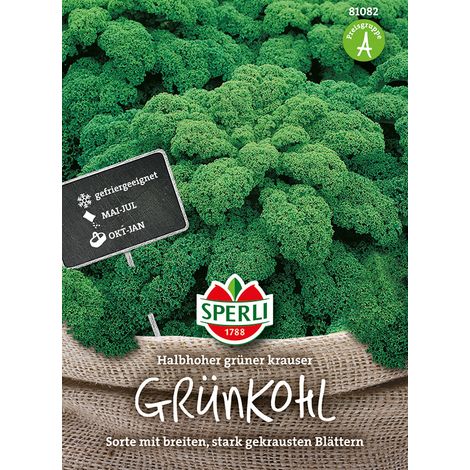 Sperli Grünkohl Halbhoher Grüner Krauser - Gemüsesamen (1/2)