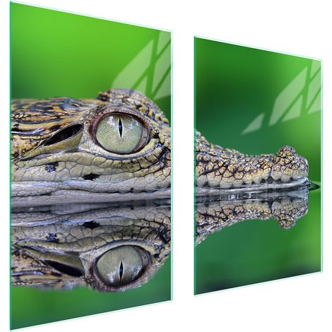 GLASSCHUTZPLATTE FÜR KÜCHE 65x52 CROCODILE (1/5)