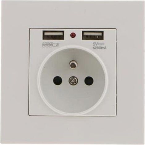 Prise Electrique Murale - - Double USB 5V/2100mA - Plastique Ignifuge - Installation Facile (1/3)