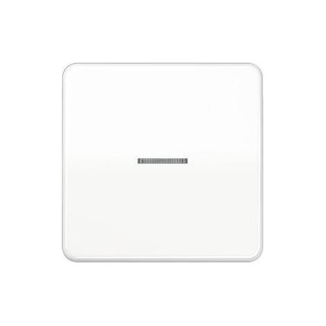 Jung Wippe Lichtleiter aws für Taster CD 590 KO5 WW (1/5)