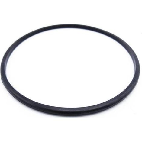 Ubbink – Joint de couvercle pré-filtre pour pompe de piscine – Compatible avec Poolmax – Joint en caoutchouc noir pour étanchéité optimale