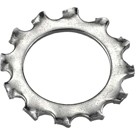 Rondelle dentate M12 - 12,5 x 20,5 - 22 pz. (1/2)