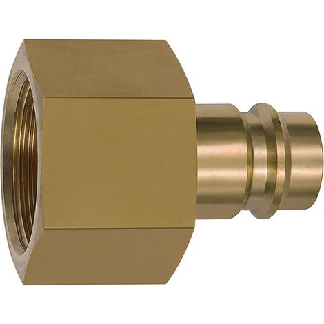 Riegler Nippel für Kupplungen NW 19, Messing blank, G 1 1/4 IG (1/2)
