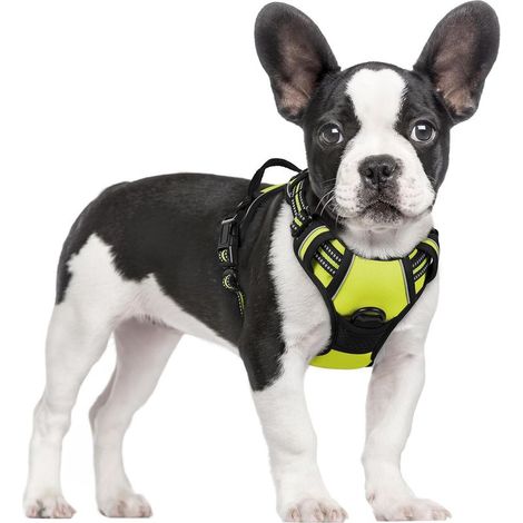 Harnais pour chien vert taille M poitrine 38-75 cm 1 pièce réglable rembourré gilet pour chien gilet en polyester pour animaux de compagnie (1/5)
