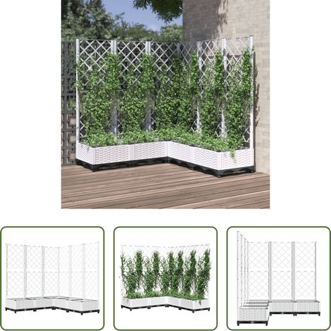 Plantes grimpantes -  Jardinière avec treillis Blanc 120x120x121,5 cm PP (1/5)