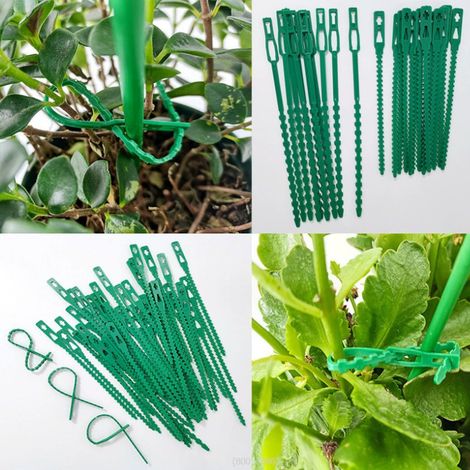 200 liens de jardin réglables, 17 cm — Liens pour plantes réutilisables pour soutenir vignes, tomates, arbustes et autres plantes (1/5)
