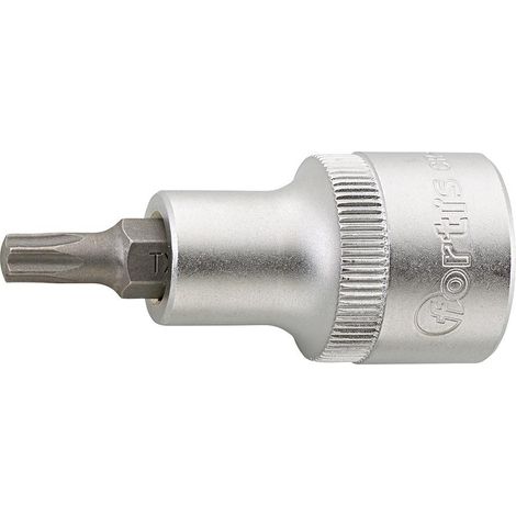Schraubend.Eins. 1/2" T30x 55mm FORTIS (1/4)