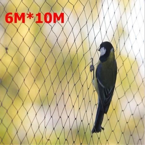 Black 6x10m protective netting, ideal for farming and bird control, reference L24070. (1/3)