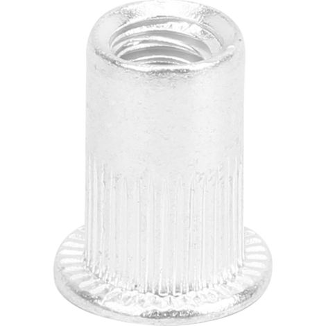 Lot de 100 écrous à sertir M6 en aluminium à tête plate et rainure verticale (1/5)