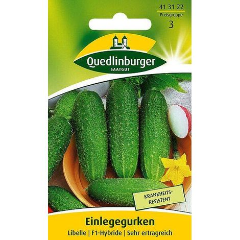 Quedlinburger Einlegegurken Libelle F1-Hybride - Gemüsesamen (1/2)