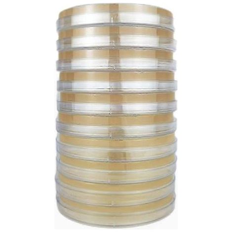 Boîtes de Petri contenant de la gélose pour la culture de champignons. destinées aux expériences de laboratoire et aux projets scientifiques à domicile - 10 boîtes (1/5)