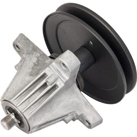 Gruppo mandrino puleggia diametro 6,3 MTD 61806976A (1/4)