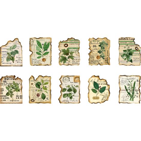 Boîte d'autocollants Yi Niao : Série Burning Years, matériel de décoration rétro pour journal, 40 pièces - Plant Manor (1/5)