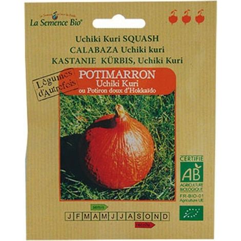 Graines bio Potimarron Uchiki Kuri - La Semence Bio