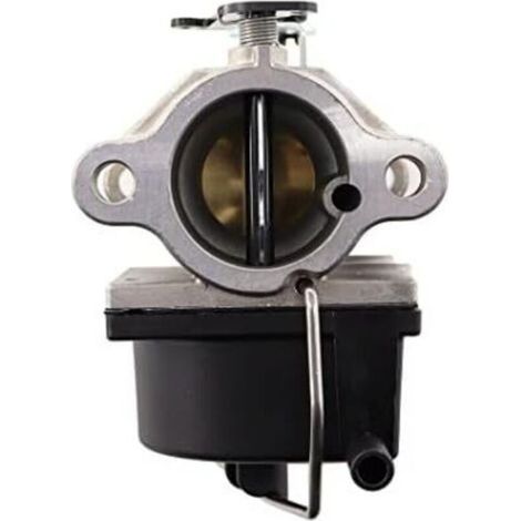 Carburateur Filtre à Carburant Tuyau Carburant pour Tecumseh 640065A 640065 moteur OHV110 OHV115 OHV120 OHV125 OHV130 OHV135 OV358EA Tondeuse à Gazon 13HP 13,5 HP 14HP 15HP Tracteur