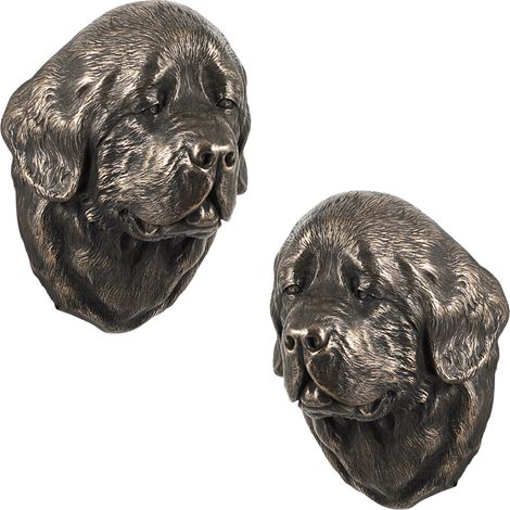 Terranova, Terranova, Waterloo: una estatuilla de perro, un busto colgante, una decoración única para un amante de los perros de Art-Dog. (1/5)