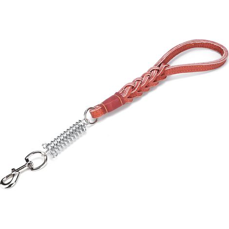 Laisse Pour Chien Réglable Avec Ressort En Cuir Synthétique Pour Promenade Sécurisée Taille Unique (1/5)