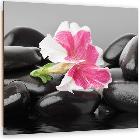 Quadro deco panel, Fiore rosa su pietre zen - 40x40 (1/5)
