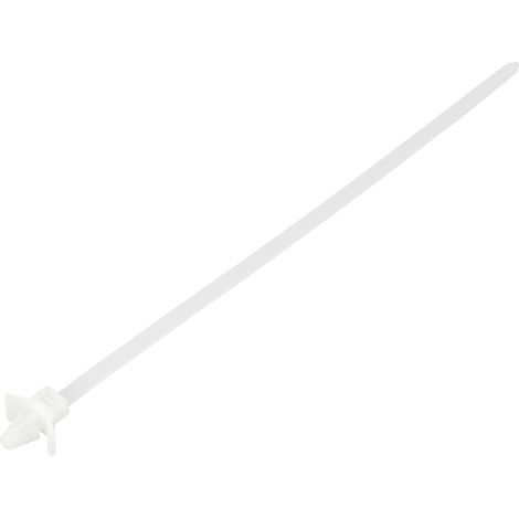 TRU COMPONENTS TC-13030688 TC-WM-200-4.8-N Serre-câble 200 mm 4.8 mm naturel avec fermeture à ailett (1/2)