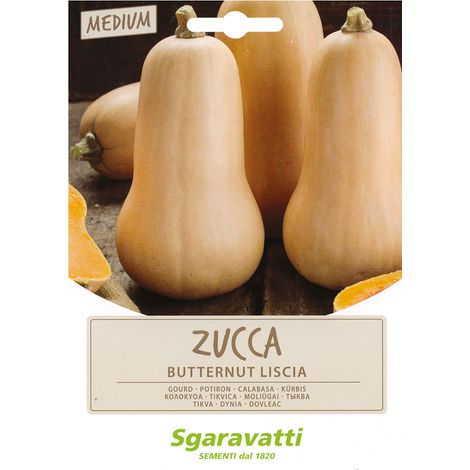 SEMI PER ORTAGGI E VEGETALI zucca butternut liscia Q.TA 10 zucca butternut liscia