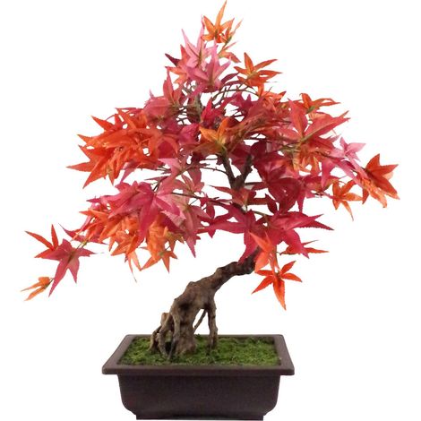 50cm Artificial Red Maple Bonsai Tree (1/4)
