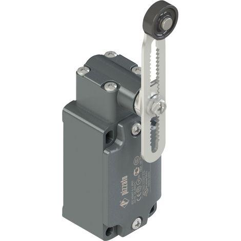 Pizzato Elettrica FD 556-M2 FD 556-M2 Endschalter 250 V/AC 6 A Rollenschwenkhebel tastend IP67 1 St.