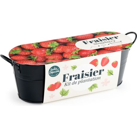Jardinière zinc noir 30 cm - Fraisier (1/3)