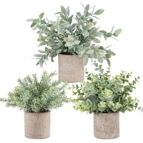 Ensemble de 3 mini plantes artificielles en pot - Topiaires d'eucalyptus en plastique pour la décoration de la maison, du bureau, sur un bureau, sur d (1/5)