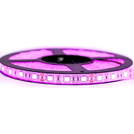 Kit Ruban Professionnel 5050 - 60 leds/m - 5 mètres rose anti éclaboussure (IP65) Longueur: 5 mètres - Transformateur: Alimentation Inclus