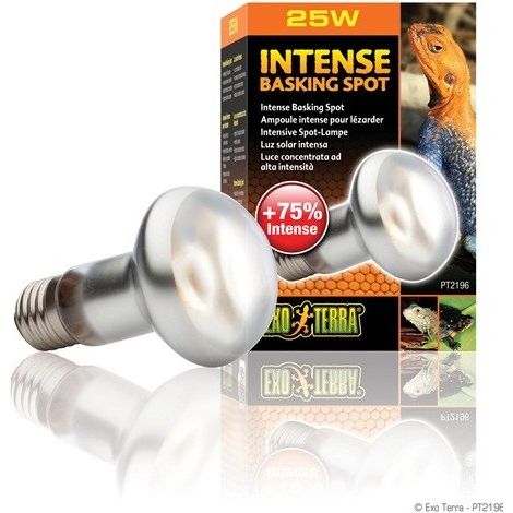 EXO Terra Spot de Brison intense 25W