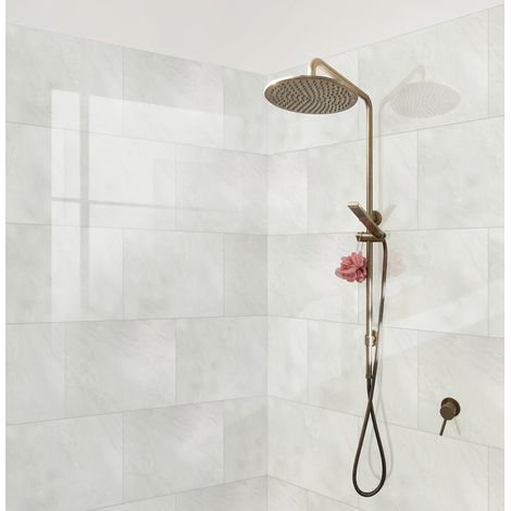 Dalle murale PVC GLOSS EVORA DUMAWALL, L.65 x l.37,5 cm, Ep.5 mm (1/5)