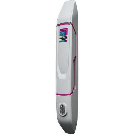Rittal VX 8618.240 Komfortgriff mit Sicherheitszylinder-Einsatz Lichtgrau (RAL 7035) 1 St.