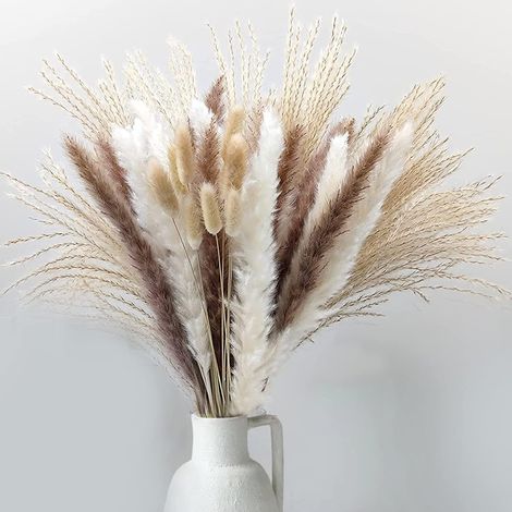 QAZQA 75 pièces 10pcs Bunny Tails Herbe &10 Pcs Pampa Blanche & 20 Pcs Pampa Brun & 30 Pcs Roseau de Roseau & 5 Pcs Roseaux de Bois de Chauffage pour Arrangements Fleurs Décoration Intérieure (1/5)