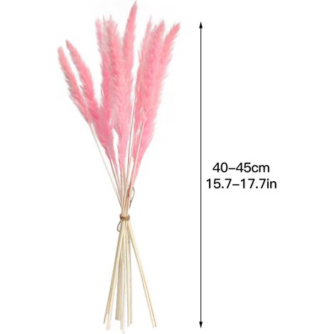 Fleurs séchées d'herbe de la pampa naturelle, bouquet de fleurs séchées d'herbe de la pampa pour décoration intérieure bohème (1/5)