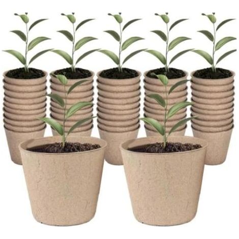 50 Torftöpfe für Sämlinge und Gartenarbeit (1/5)