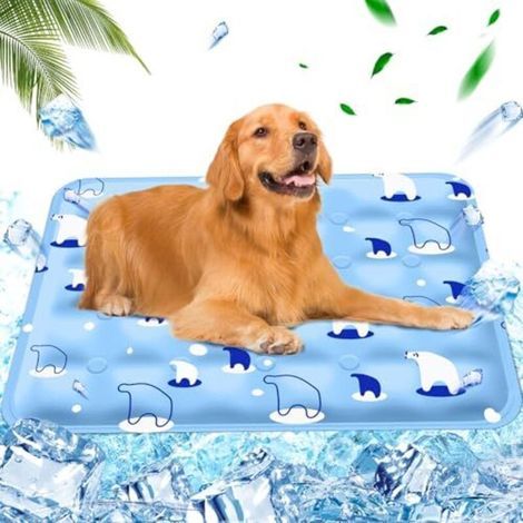 Tappetino/cuscino rinfrescante per cani con iniezione d'acqua, tappetino/materasso rinfrescante per gatti, tappetino/materasso rinfrescante per animali domestici, orso polare azzurro, 60 x 90 cm, X (1/5)