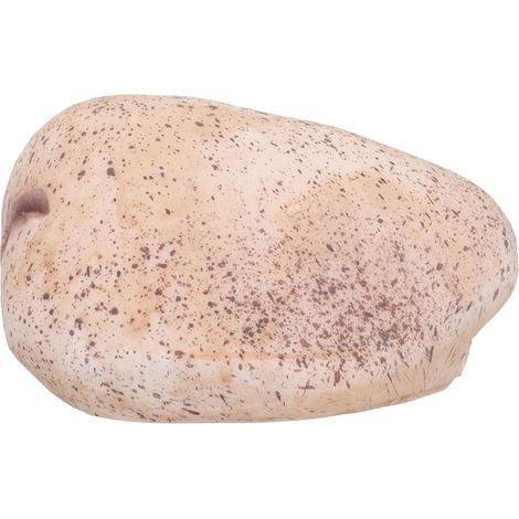 Boîte à Clés Extérieure en Fausse Pierre Réaliste, Cache-clés de Secours Résistant aux Intempéries, Dispositif de Sécurité Discret pour Jardin et Espace Extérieur, Protection