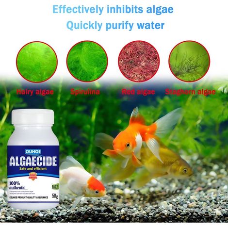 50 g Anti-Algenmittel für Aquarien, Algenbekämpfung, Moosentferner für Teiche und Fischbecken (1/5)