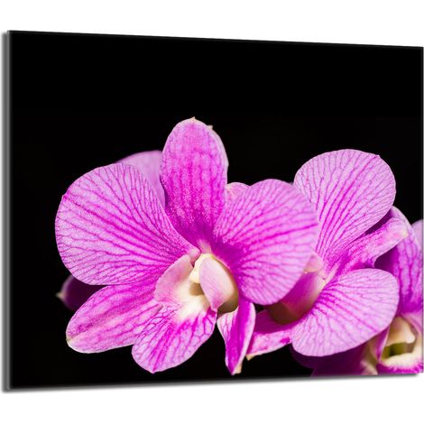 Lastra protettiva in vetro per stufa 60x52 Orchidea (1/5)
