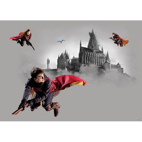 Poster intissé Harry Potter Quidditch 3 personnages - 155 x 110 cm (1/4)