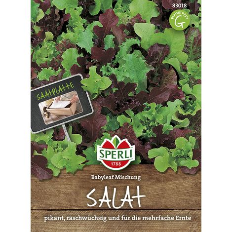 Sperli – Laitue à couper, mini-mélange de salades Babyleaf – Tapis présemé 12,5 x 40 cm, graines de légumes (1/2)