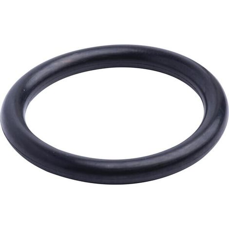 O-Ring CASE IH 86629540 (1/2)