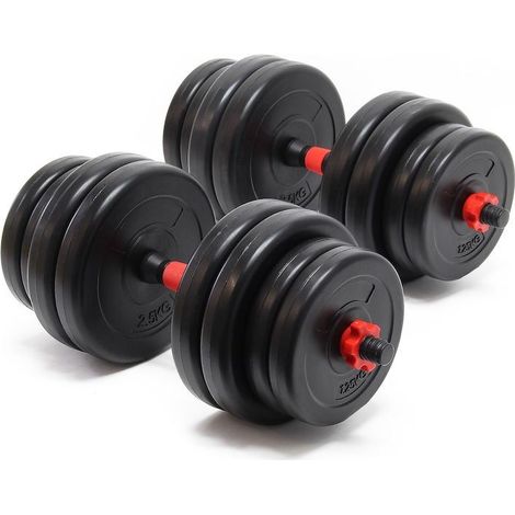 2 haltères Musculation 30 kg. 16 disques, pour une Musculation Efficace (1/5)