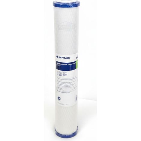 Cartouche Pentair EP-20 Charbon Actif 20 Pouces