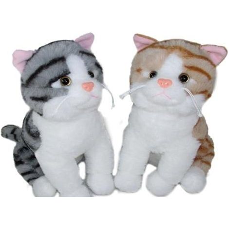 Gatto 35 cm MIX