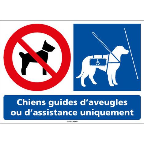 Panneau Chiens interdits sauf Chiens guides d’aveugles – Signalisation adhésive 105 x 75 mm