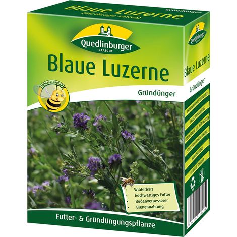Quedlinburger Saatgut – Luzerne bleue – Engrais vert, boîte pliante 500 g pour env. 80 m², hauteur 50-80 cm (1/2)